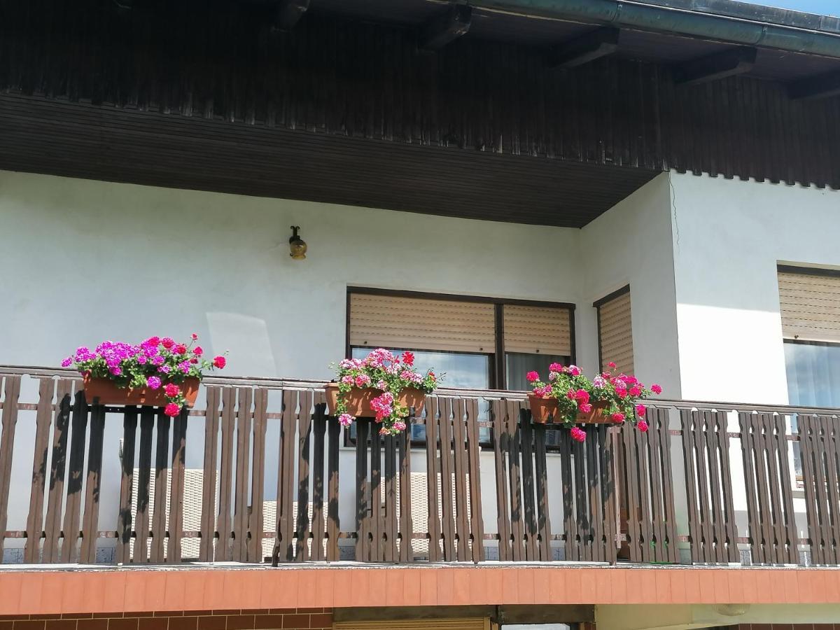 Apartments Novak Ljubno Luaran gambar