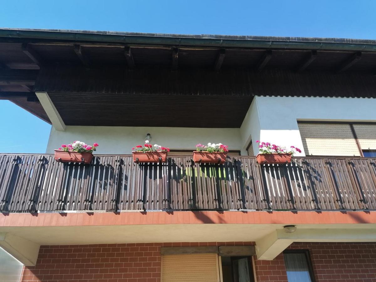 Apartments Novak Ljubno Luaran gambar