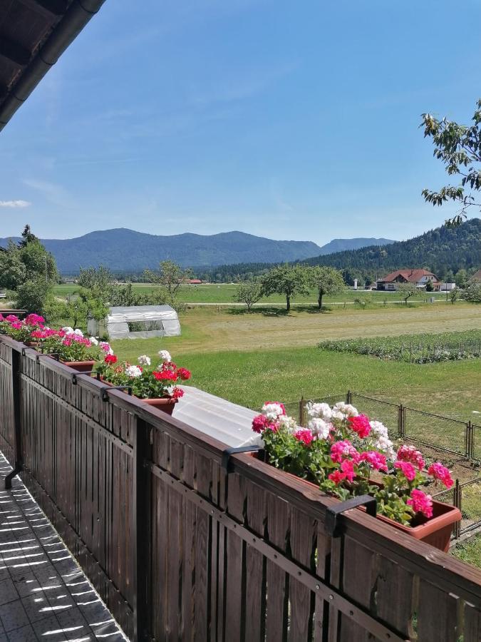 Apartments Novak Ljubno Luaran gambar