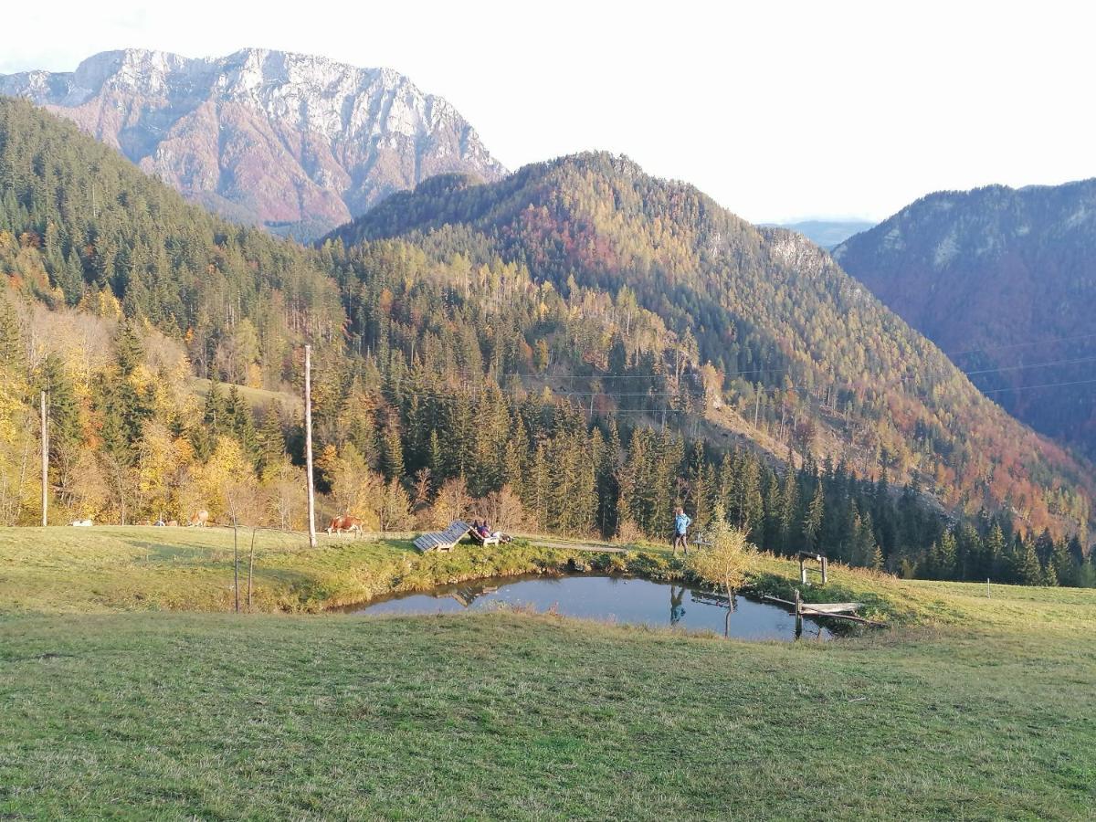 Apartments Novak Ljubno Luaran gambar