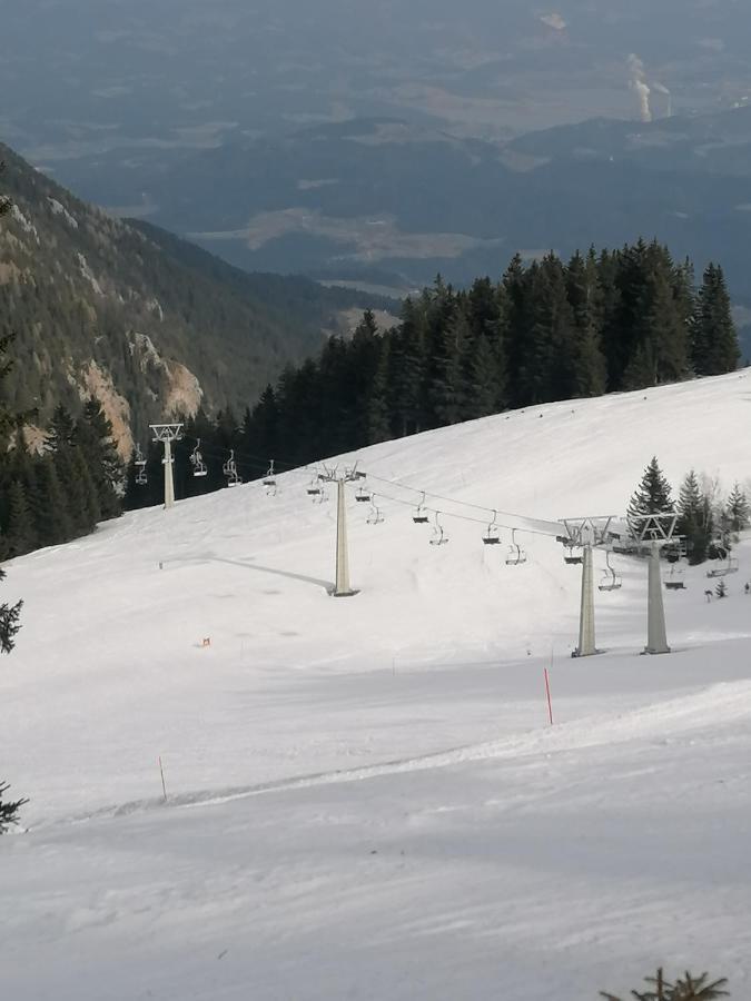 Apartments Novak Ljubno Luaran gambar