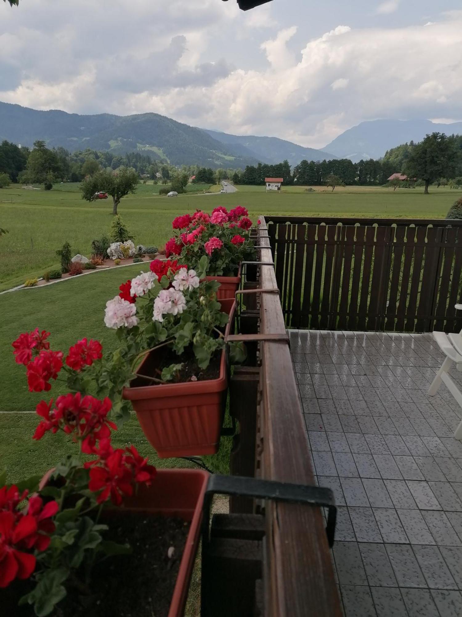 Apartments Novak Ljubno Luaran gambar
